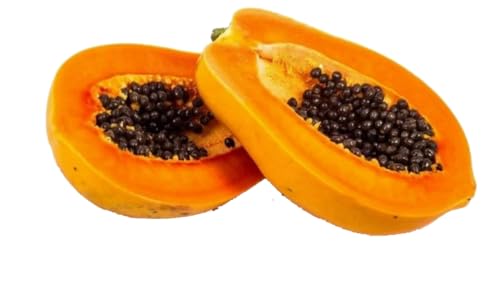 Papayakerne | naturbelassen | sonnengetrocknet| Papaya Pfeffer | Hoher Papain- und Carpain-Gehalt | Keine Zusatzstoffe | Rohkost | Vegan | Laborgeprüft | Gluten- und Laktosefrei | 25g