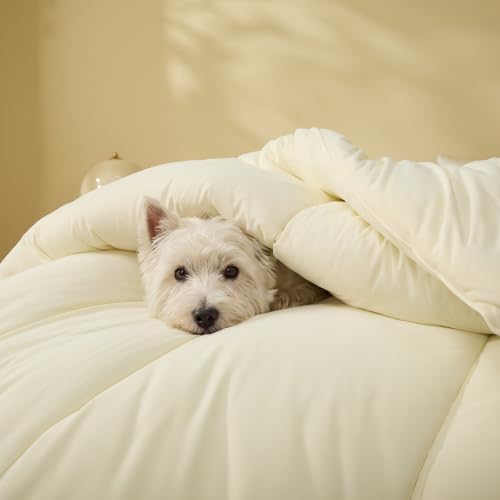 Cream Lvory Comforter Twin Size Soft Fluffy Breathable Bedding by HW&HL - Used condition - Image 8
