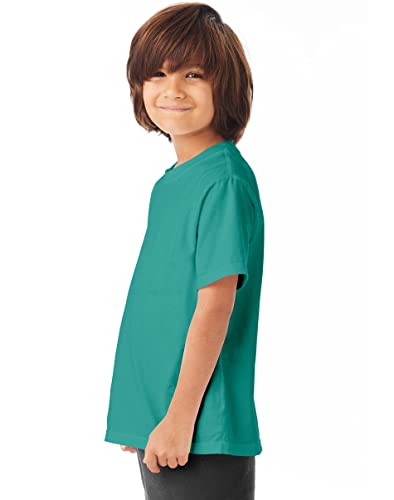 Hanes ComfortWash 5.5 oz. 100% Ring Spun Cotton Garment-Dyed T-Shirt XS Spanish Moss2