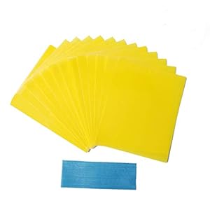 Allein 24 stuks 20 x 25 cm gele stickers, aan beide zijden gele borden, lijmval fruitboom, zelfklevende vliegenval, gele…