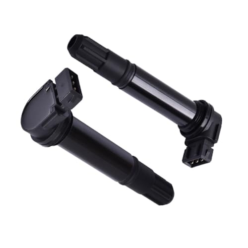 Bobine d'allumage pour Benelli 302S 302R BJ300GS 96200P100000 2pc