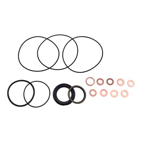 Image of HOLDWELL Hydraulic Motor Seal Kit Compatible with Eaton 60539-000 Char-Lynn 60539 103(S) Series 009 010