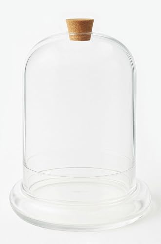 WAVY STUDIO �萁�� 12�C���` �K���X�e�����E�� ����&�R���N�X�g�b�p�[�p�J�����t�� �N���[�V���X�^�C�� �K���X�h�[�� �r�o���E�� �f�B�X�v���C�P�[�X(����)