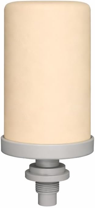 Pack of 2 Generic Brazilian Triple Action ceramic water filter cartridge, 2Count (Pack of 2), White