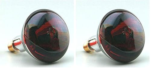 Lampe infrarouge E27 F BRIGHT rouge pour le bien-être animal et le chauffage des poussins