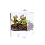 Pflanzenterrarium Bye Bye Fly – Fleischfressende Pflanzen – Pflegeleicht – ⌀23 cm
