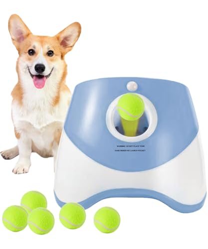 xixining {[`[   {[   @ ^ђ^p vX`bN 3ނ̔ˋ obe[ [d {[3t mߋ XgX ^sP  Op (u[)