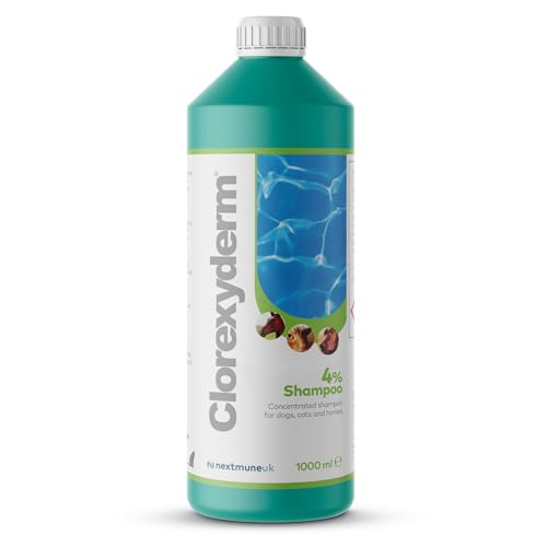 ICF | Clorexyderm 4% Dog Shampoo for Itchy Skin Relief | Anti Itch + Antifungal + Antibacterial Shampoo for Dogs Cats & Horses with Sensitive Skin 1000ml