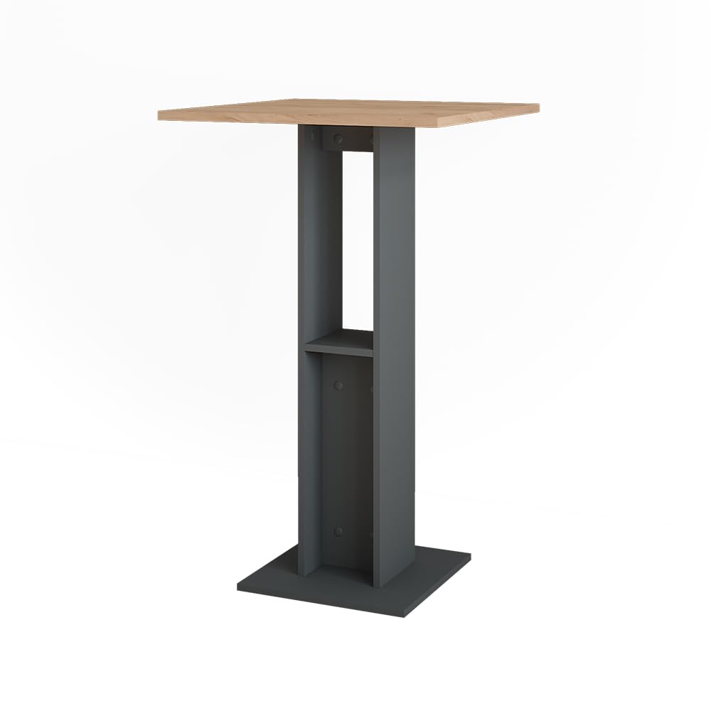 Vicco Mesa de Bar Repose, Oro Power Roble/Antracita, 65 x 65 cm, con Estante Lateral para almacenar Botellas y Vasos