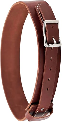 Jeereal 2-1/2 Leather Horse Cribbing Strap Prevention for Horses Dare Cribbing Control Collar Fully Reversible Adjustable Fit with Stainless Steel Buckles