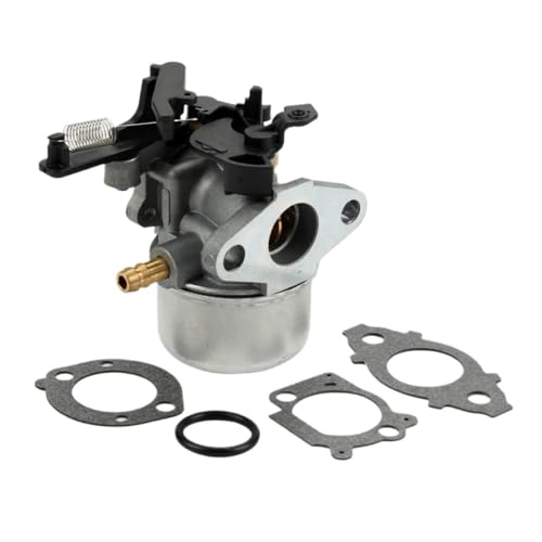 Carburateur pour tondeuse 591137 590948 de rechange standard pour moteur de jardin