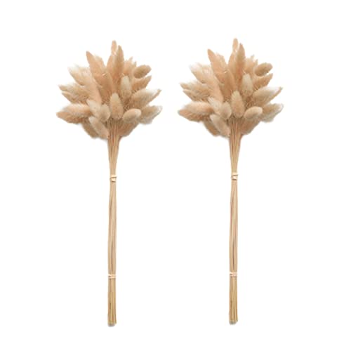 Bouquet pampas de table : 50 queue de lapin séchée pour centre de table - 2