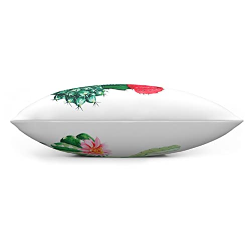 Varun Cactus Throw Pillow Covers Green Plant Cactus Watercolor Red Pink Stone Square Pillowcases For Home Decor Sofa Car Bedroom Pillow Case 18X18Inch #TOP3