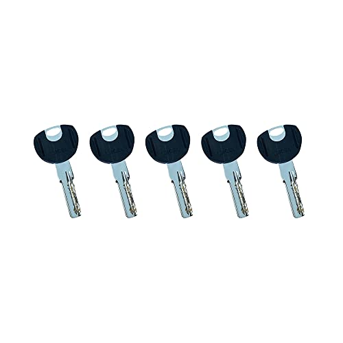 MICEL, 13185, High Security Cylinder, European Profile, Long Cam, 45 x 45, 5 Keys, Anti-Bumping System, Anti-Drill - Image 4