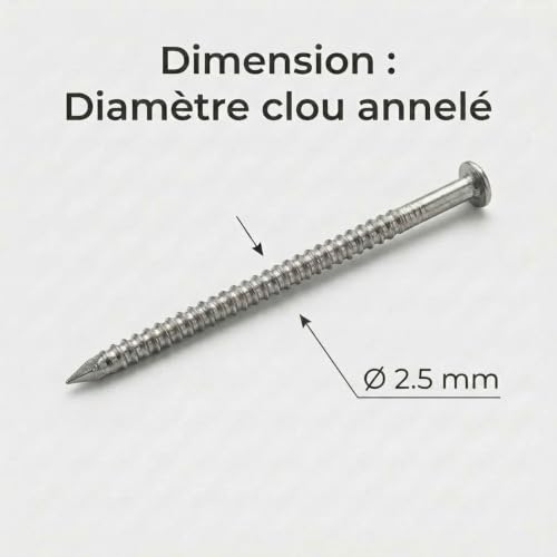 Pointes/Clous annelés tête bombée Inox A2 - Diam 2.5 mm - 1kg (environ 500-700 pcs) (Longueur 50 mm) – vue 2