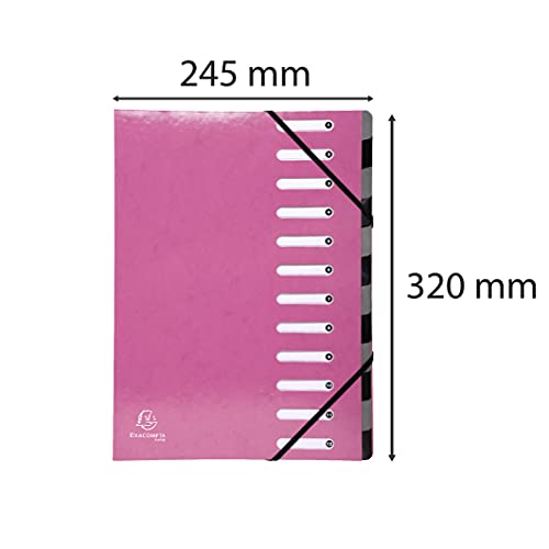 Exacompta - Ref 5205E - Harmonika Multipart File - 24.5 X 32cm In Size
