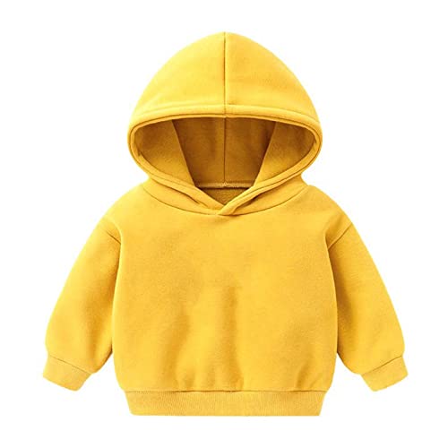 Toddler Hoodies Cute Unisex Solid Color Hooded Sweatshirt Girls Boys Fall Winter Casual Warm Soft Pullover Sweater