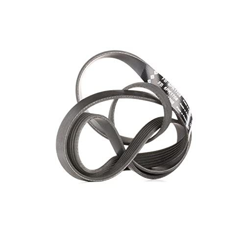 Courroies de distribution INA fB 6PK1708 pour moteur de voiture