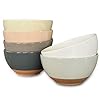 Mora Ceramic Small Dessert Bowls 16oz Set of 6 Microwave Oven and Dishwasher Safe For Rice Ice Cream Soup Snack Cereal Chili Side Dishes etc Microwavable Kitchen Bowl Assorted Neutrals