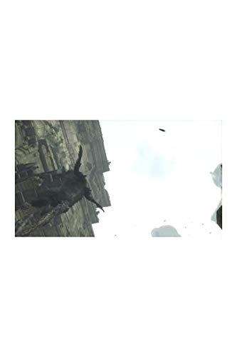 The Last Guardian jeu PS4 d'action-aventure en édition physique - 2