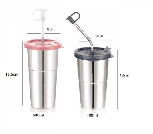Image of Stainless Steel Fusion Glass Tumbler with Stainless Steel Metal Straws and Cleaning Brush with Lid (LD SIP 400+600ML)