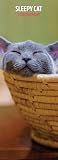 Sleepy Cat 2026 Slim Calendar