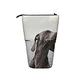 ➤Material: Das einziehbare Federmäppchen besteht aus hochwertigem Oxford-Stoff, das langlebig und leicht zu reinigen ist. Es ist bequem, kleine Gegenstände wie Bleistifte, Lippenstifte und andere Reißverschluss-Briefpapier-Sets aufzubewahren, die leicht zugänglich und zu verhindern sind Private Gegenstände von draußen fallen.