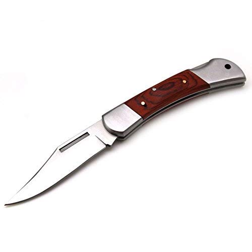 Snake Eye Tactical Lock Back Beautifully Designed Handle Collector Folding Pocket Knife (Small)
