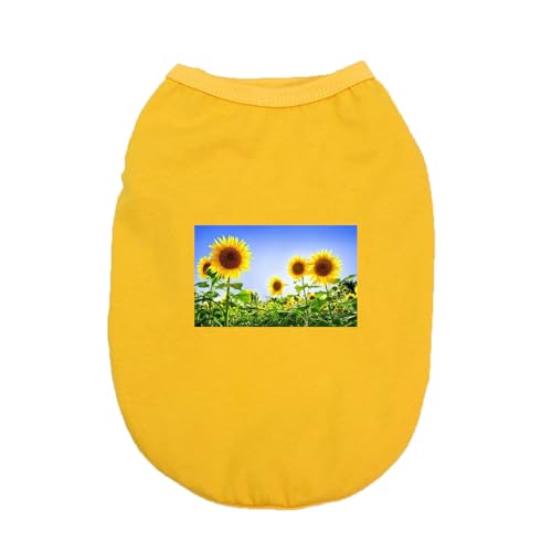 [XANPYO] ybg  ̕ t  H hbOEFA CG[ ybgEFA ^ 킢  I[V[Y 5XL Vc t ĕ  ʋC hbOEFA ybgEFA p Lp _炩  Eѕی