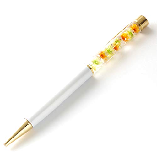 MokuMoku n[oE{[y i ւc yP[Xt (CG[×zCg)