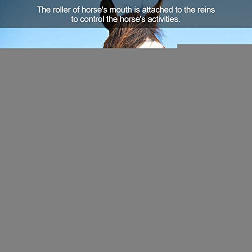 Sheens Allentamento di Rame di Snaffle Allentato