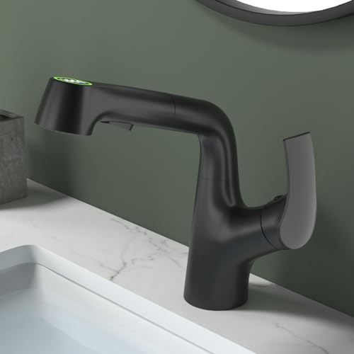 Robinet extractible multifonction à affichage numérique de la température de l'eau - 2