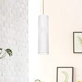 LA ESTÉTICA: esta elegante lámpara suspendida le encantará por su toque industrial y, gracias a su actual diseño, creará un ambiente de ensueño en gris, beige o blanco en su hogar