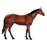 Zoom IMG-2 heaxiy modello di anatomia a Zoom IMG-2 heaxiy modello di anatomia a