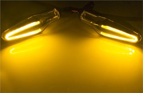 Luz intermitente LED con acabado resistente para serie GS 6