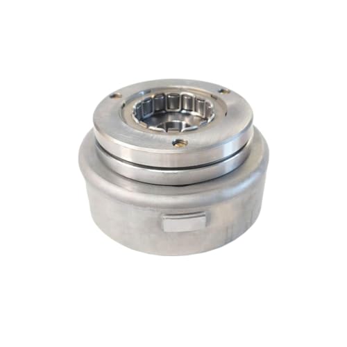 Stator Coil Assy Rotor Magnetic Cylinder Overrunning Clutch Ignition Compatible with YBS300 YB300H YB250R Engine(Magnetic Cylinder)