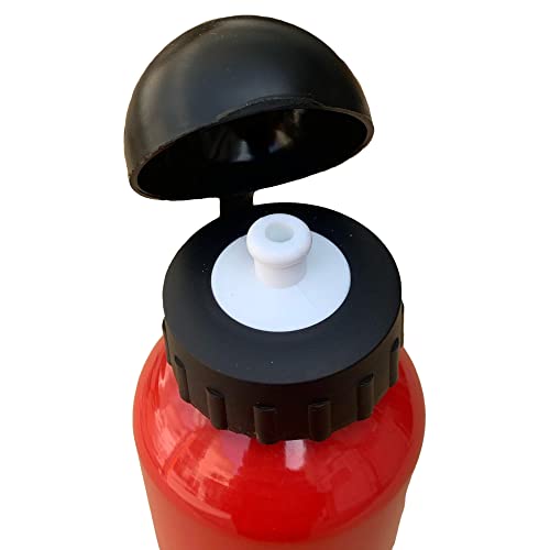 CARTOON Borraccia in alluminio per bambini, Poke