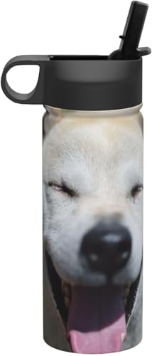 ΂Č    ^fM ۉ ۗ X|[c{g lC XeX{g X|[cΉ RȂ 530ml j̎q ̎q  v[g