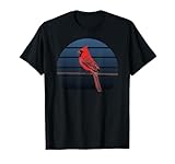 jz.birds