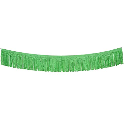 Tissue Paper Fringe Tassel Party Garland - Perfect Backdrop For All Events & Occasions (6-Count, Rainbow Mix) #TOP7