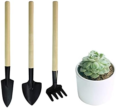 Andiker Mini Gardening Tools, 3pcs Portable Garden Hand Tools Set, Miniature Gardening Rake Trowel and Shovel for Seedlings, Bonsai, Succulents, Herbs, Terrariums and Planting (3pcs)