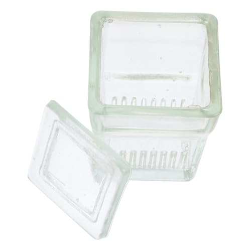 FELTECHELECTR - FELTECHELECTR Cuve De Coloration En Verre De Laboratoire Bocaux Coplin Capacité De 9 Lames Facile À Utiliser Et À Nettoyer