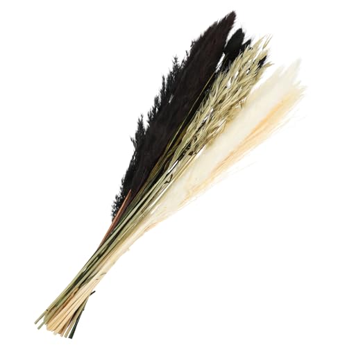 Ramo de Hierba Pampas Secada para Decoración Natural miniatura 1