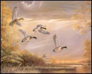 Ducks - Settling in - Paper Tole 3D Decoupage Craft Kit Size 8x10 inches K8-8104