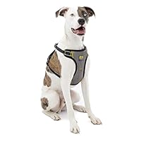 Algopix Similar Product 12 - Kurgo Impact Dog Car Harness Crash