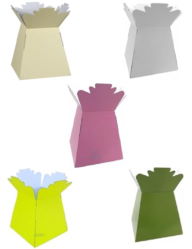 Inerra Florist Boxes - Mixed Pack of 5 Bouquet Living Vase Box - White, Cream, Pink, Yellow, Olive