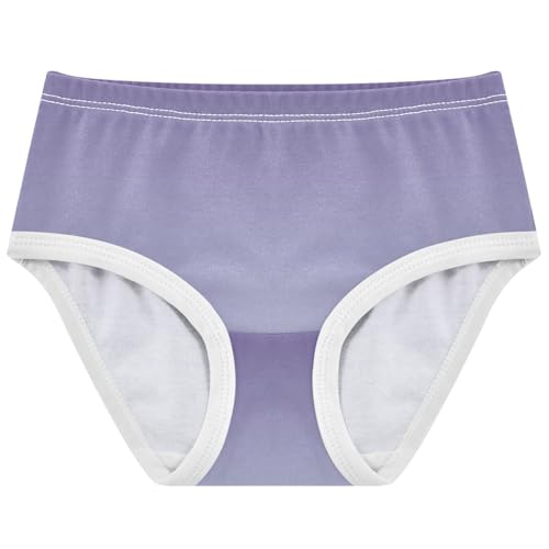 Joisal Pattern Toddler Underwear Floral 2t Cotton Panties Little Girl Violet Periwinkle Gradient Ombre Briefs Underpants