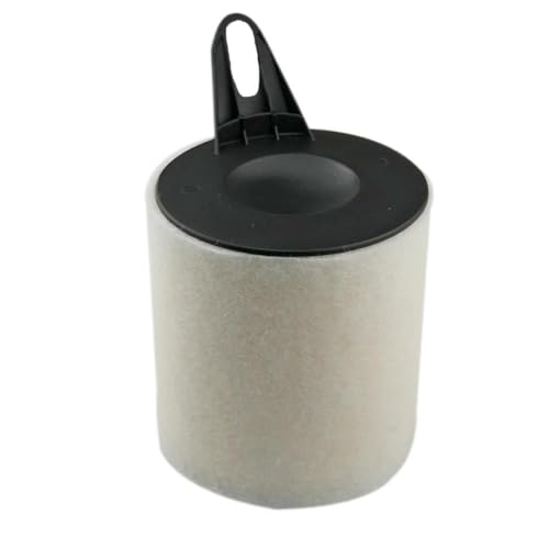 Filtre à air voiture 13717532754 protège le moteur BMW 318i 118i