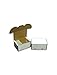 BCW 1-BX-300 300 Count Storage Box