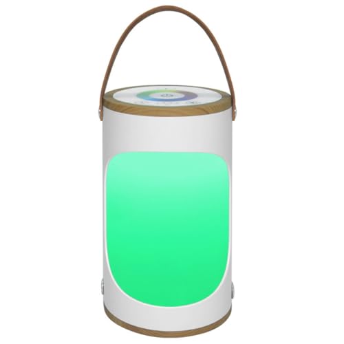 SHOWERORO Lámpara de Noche Portátil Blanca Temporizador y Luz Multicolor Lámpara de Camping Compacta y Ligera Luz de Escritorio para Exteriores y Dormitorio